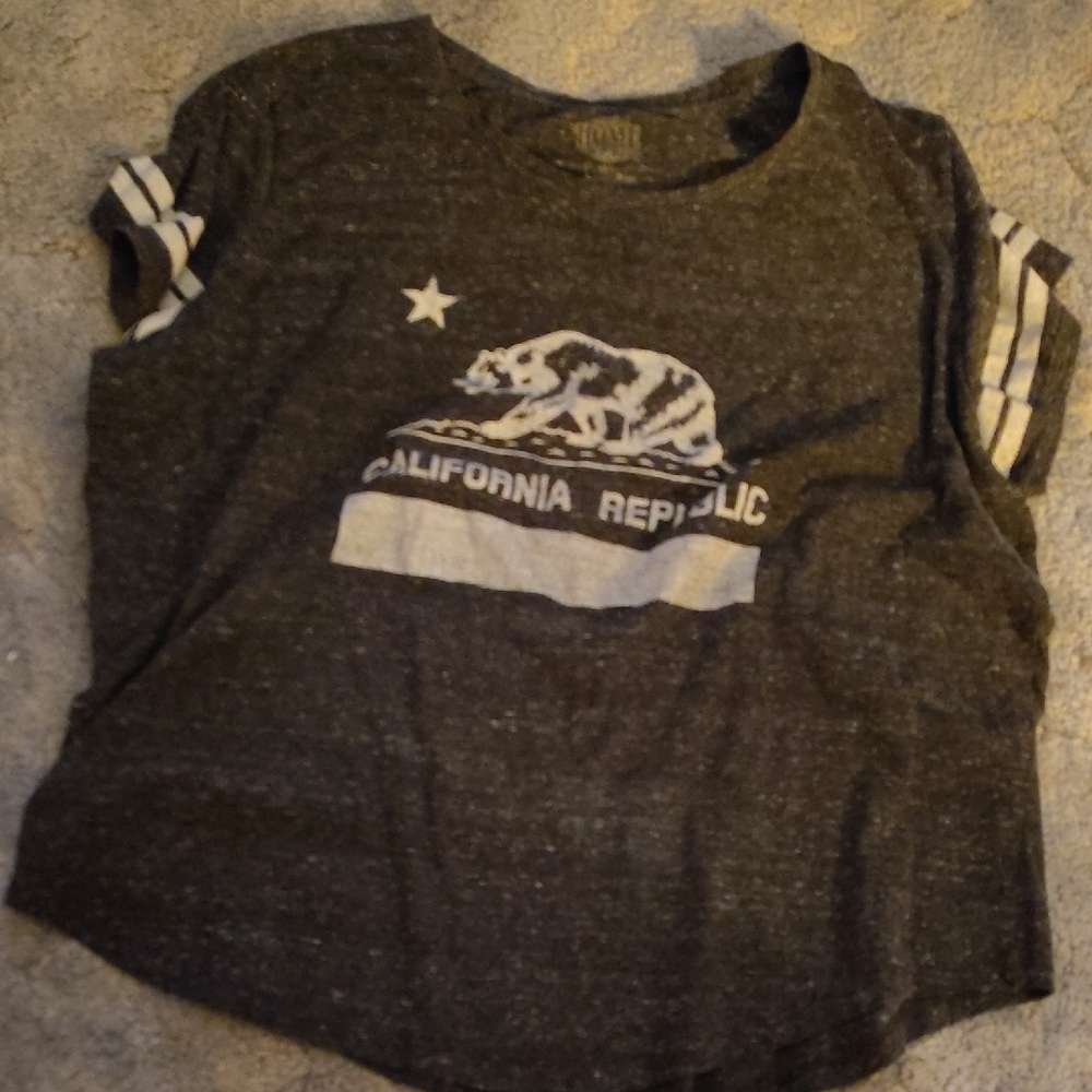 California Republic Gray T-shirt Adult 3XL